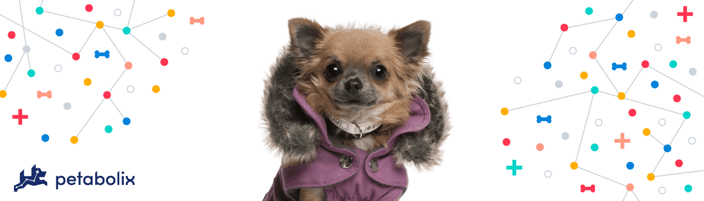   Your dog’s coat is protection against the outside world of weather, parasites, and judgment.  