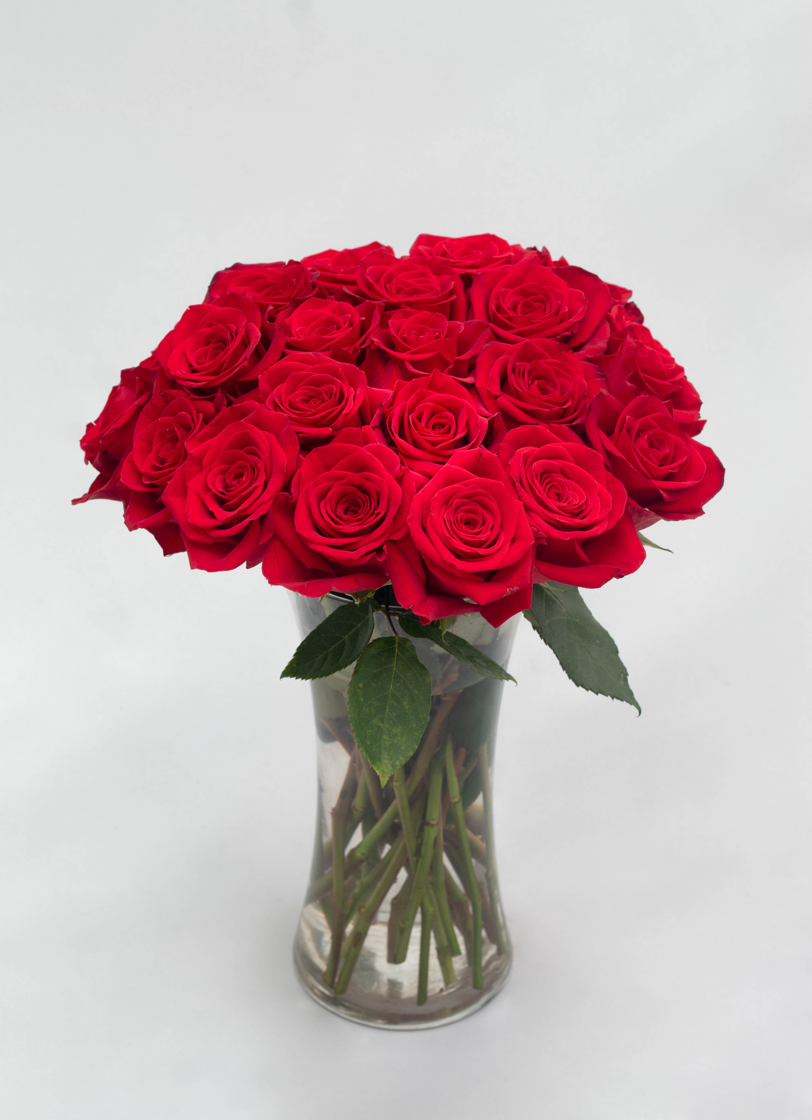 Image of Minimalist entryway