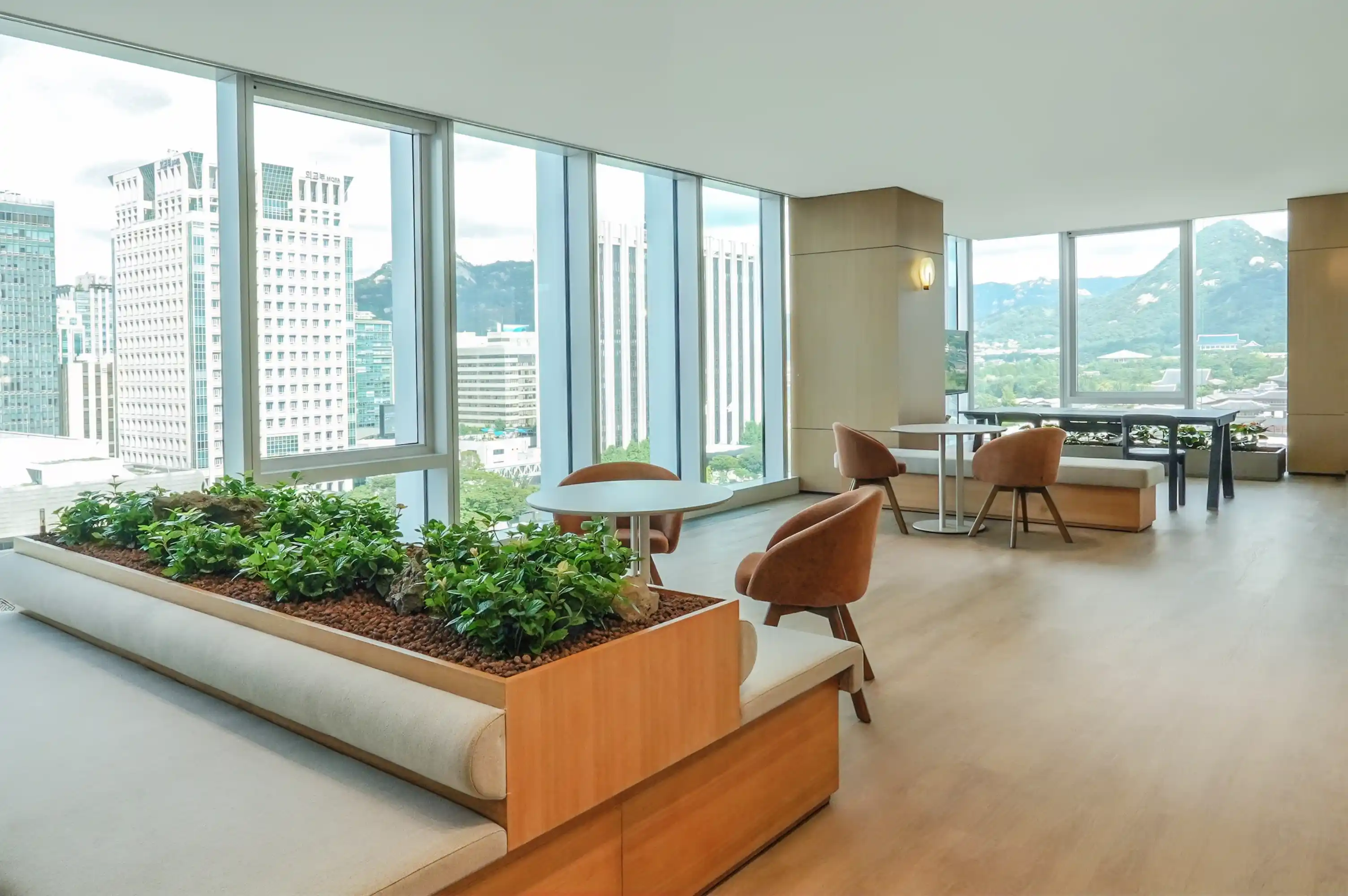 사옥 라운지룸 우드 플랜트 박스 관엽식물 식재