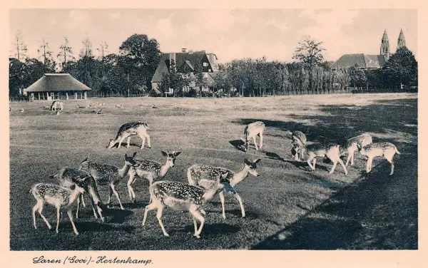Een oude foto uit het archief van het hertenkamp in Laren