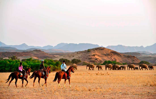 Horseback Safari