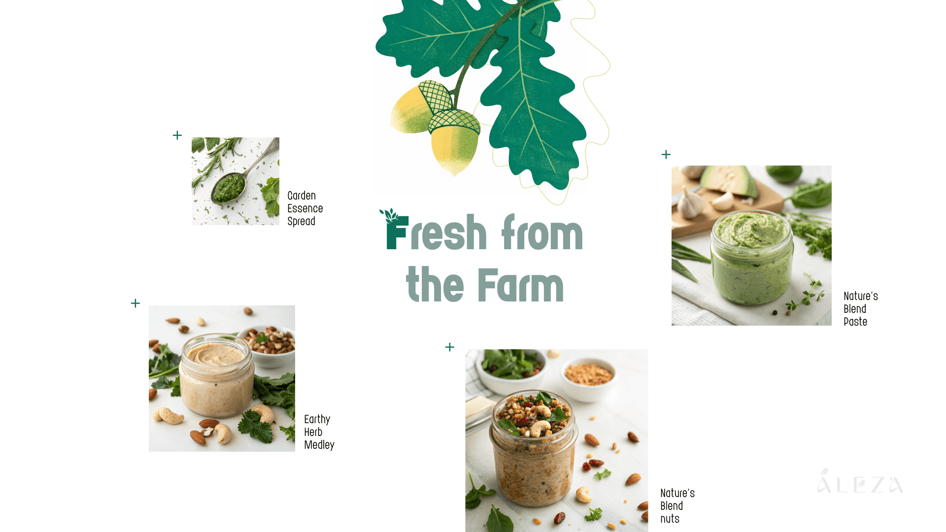 Aleza fresh from the farm product range branding — Penguincil Design