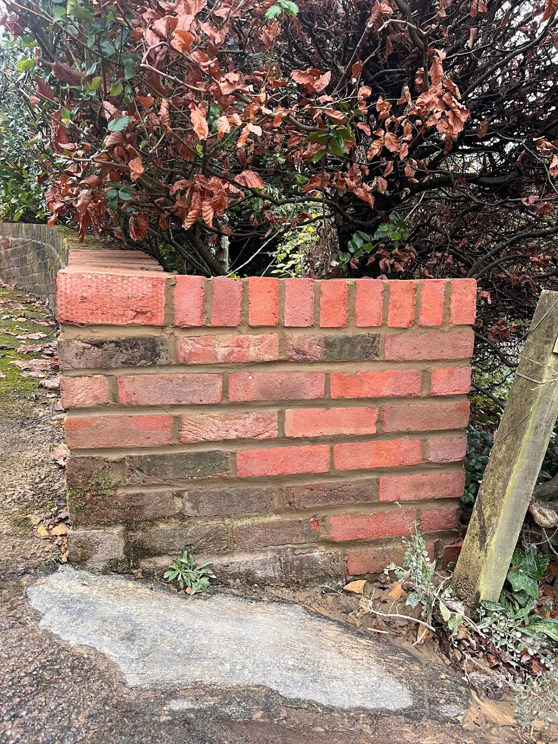 Brickwork repair of small wall