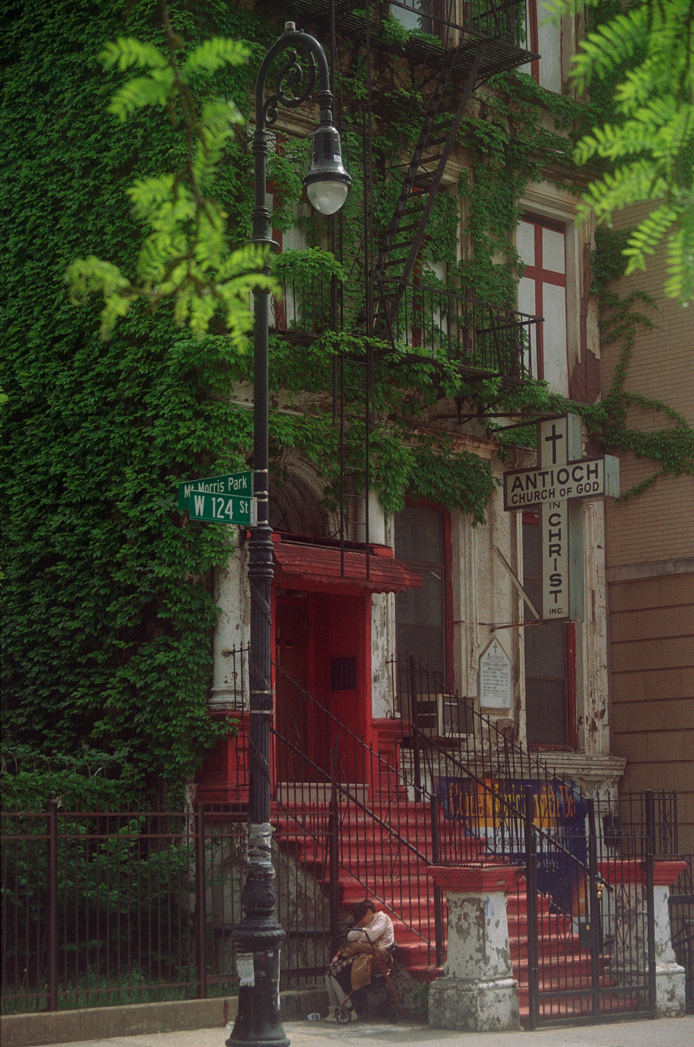 Building with red door and ivy-covered walls
