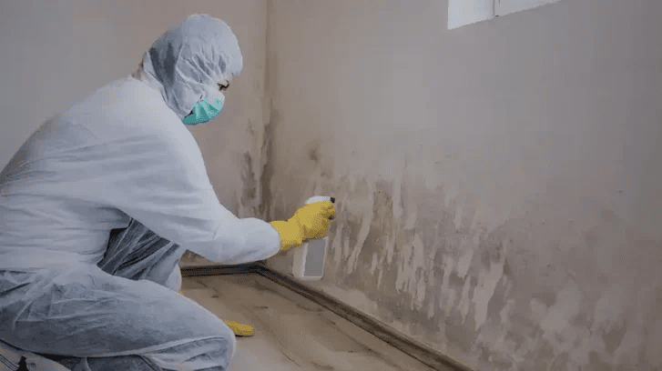 magic plan supporting mold remediation projects with accurate inspection documentation and reporting