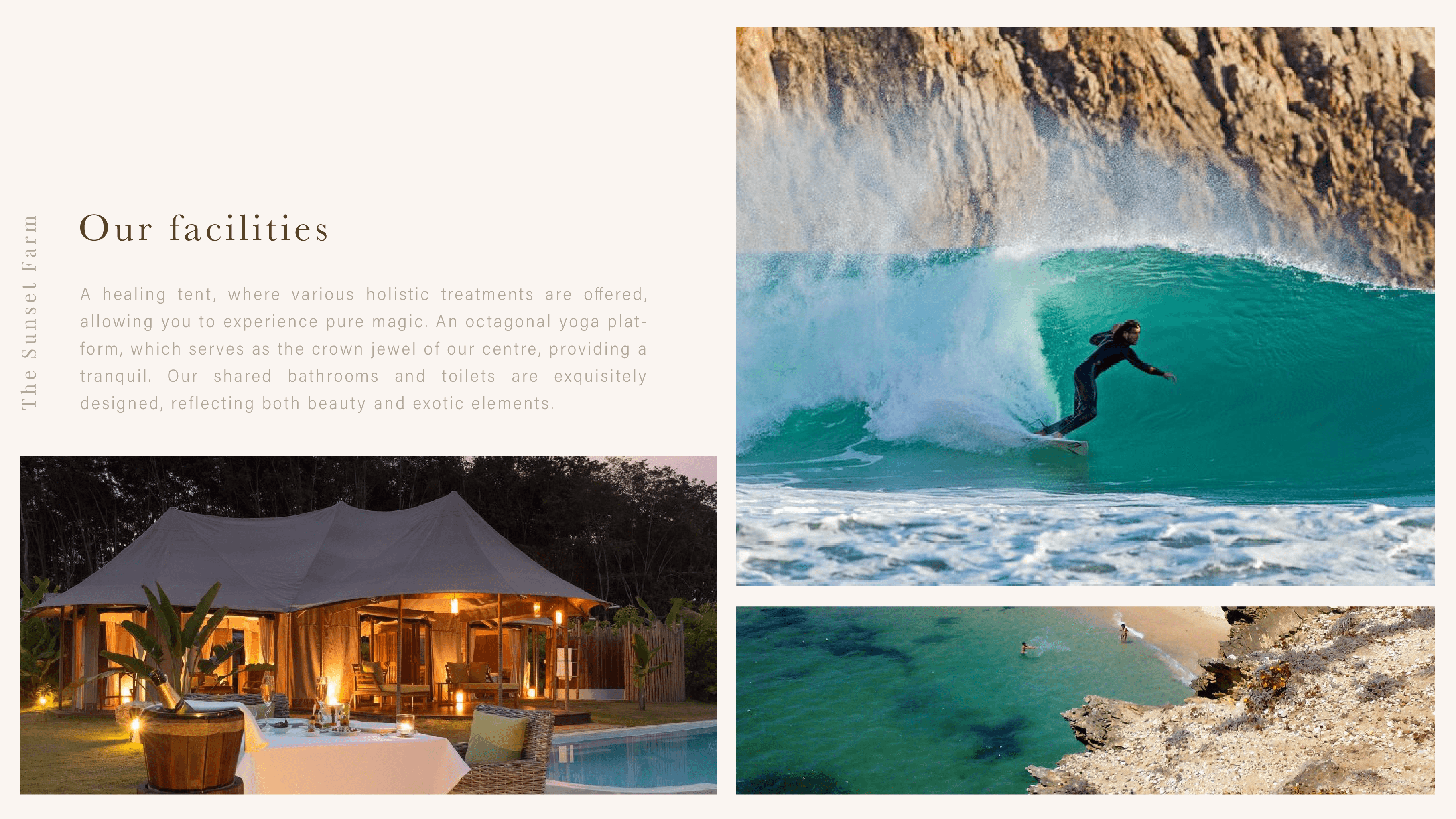 Minimalist Smartphone and Flowers