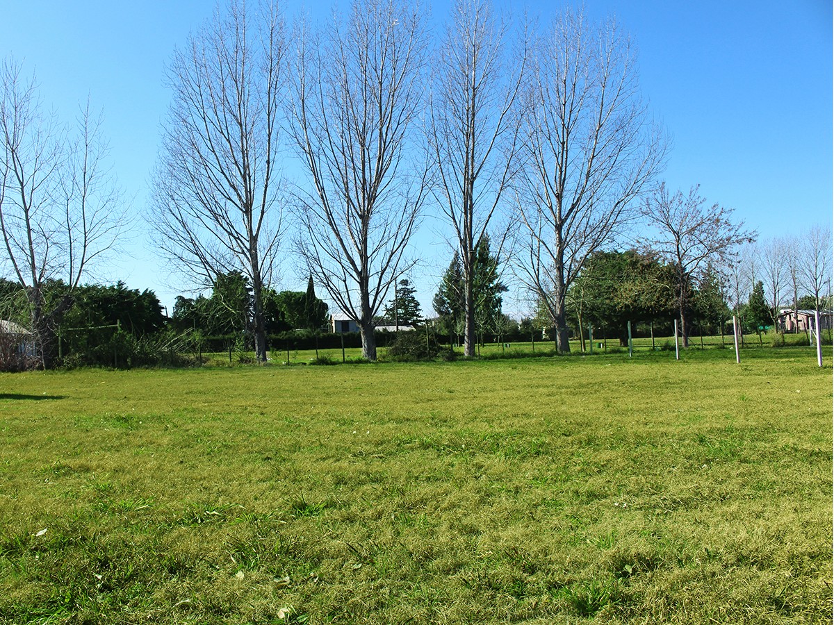 Lotes Para Todos - Cerro Rico 1
