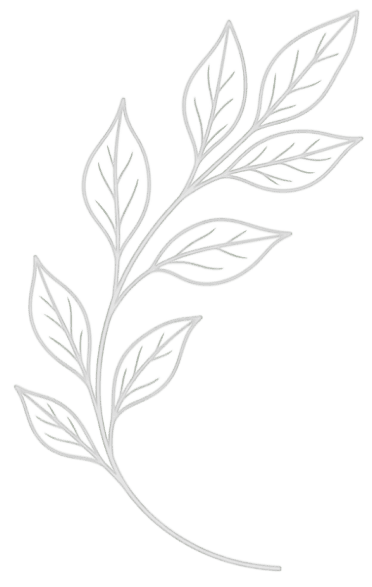 Hand-drawn botanical illustration.