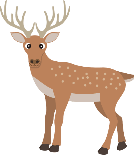 Deer 02