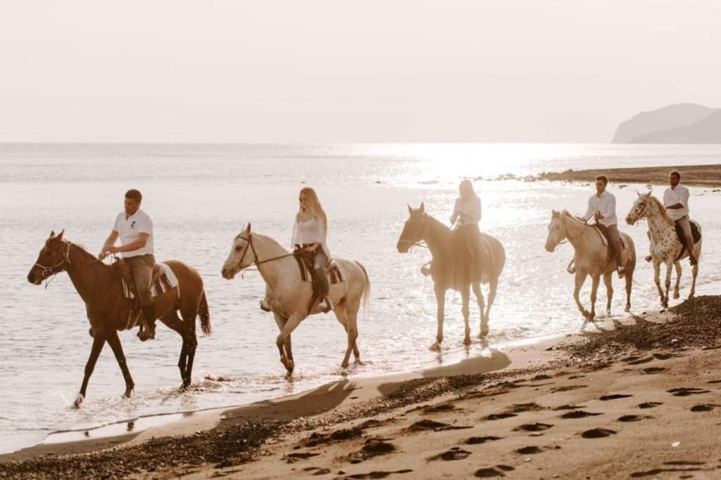 Horse riding on the beach at sunset