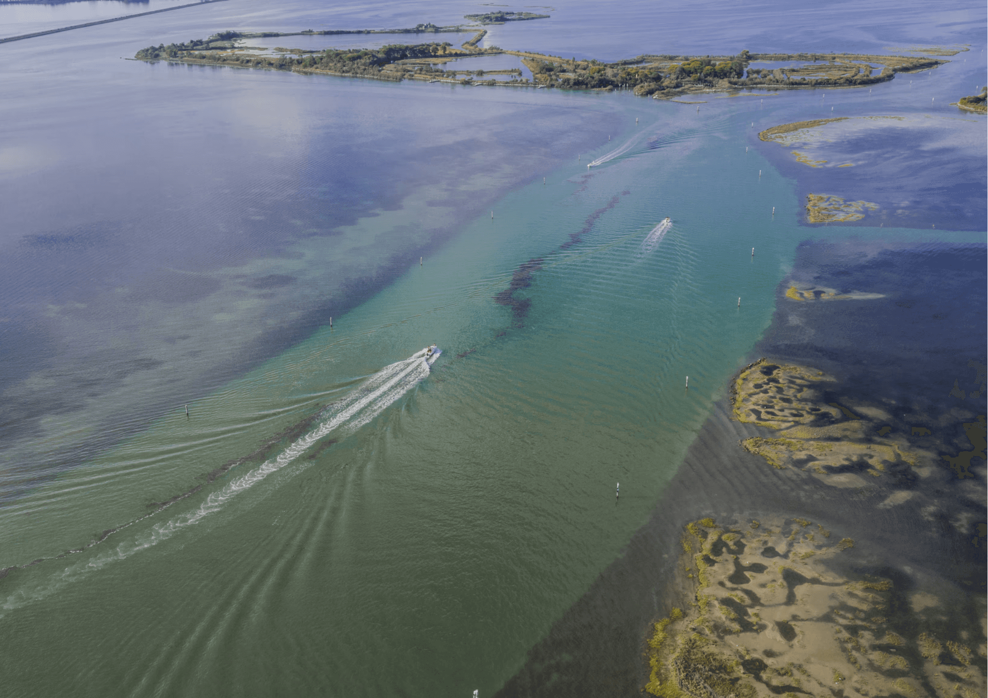 fly fishing and spinning near venice