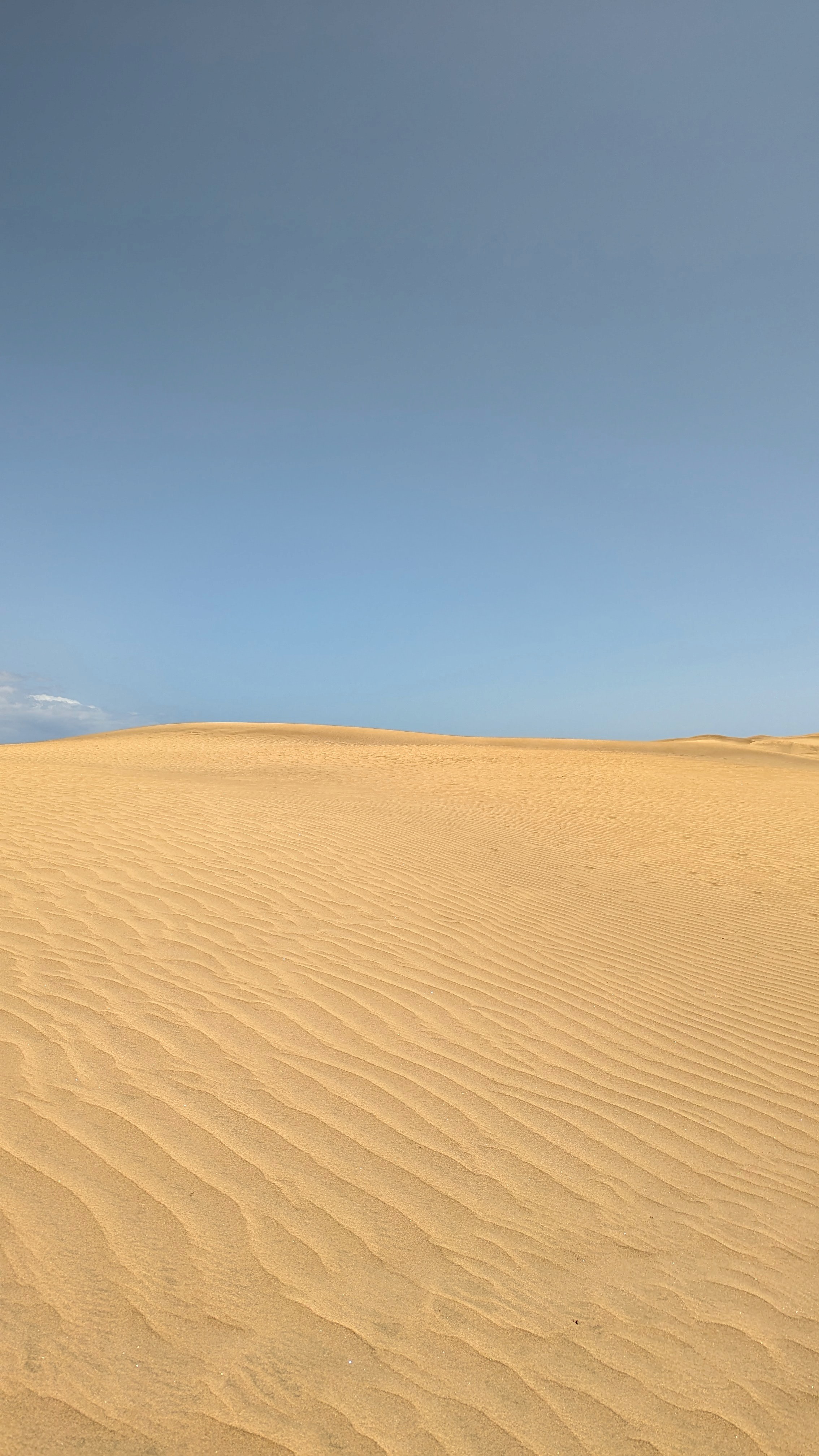 woman in black turtleneck shirt
