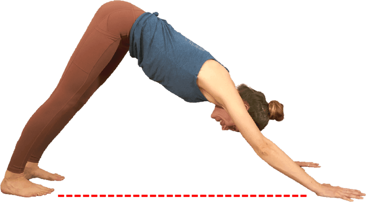 Downward Dog seen from the side, with a red dotted line marking the distance along the floor between the hands and the feet.
