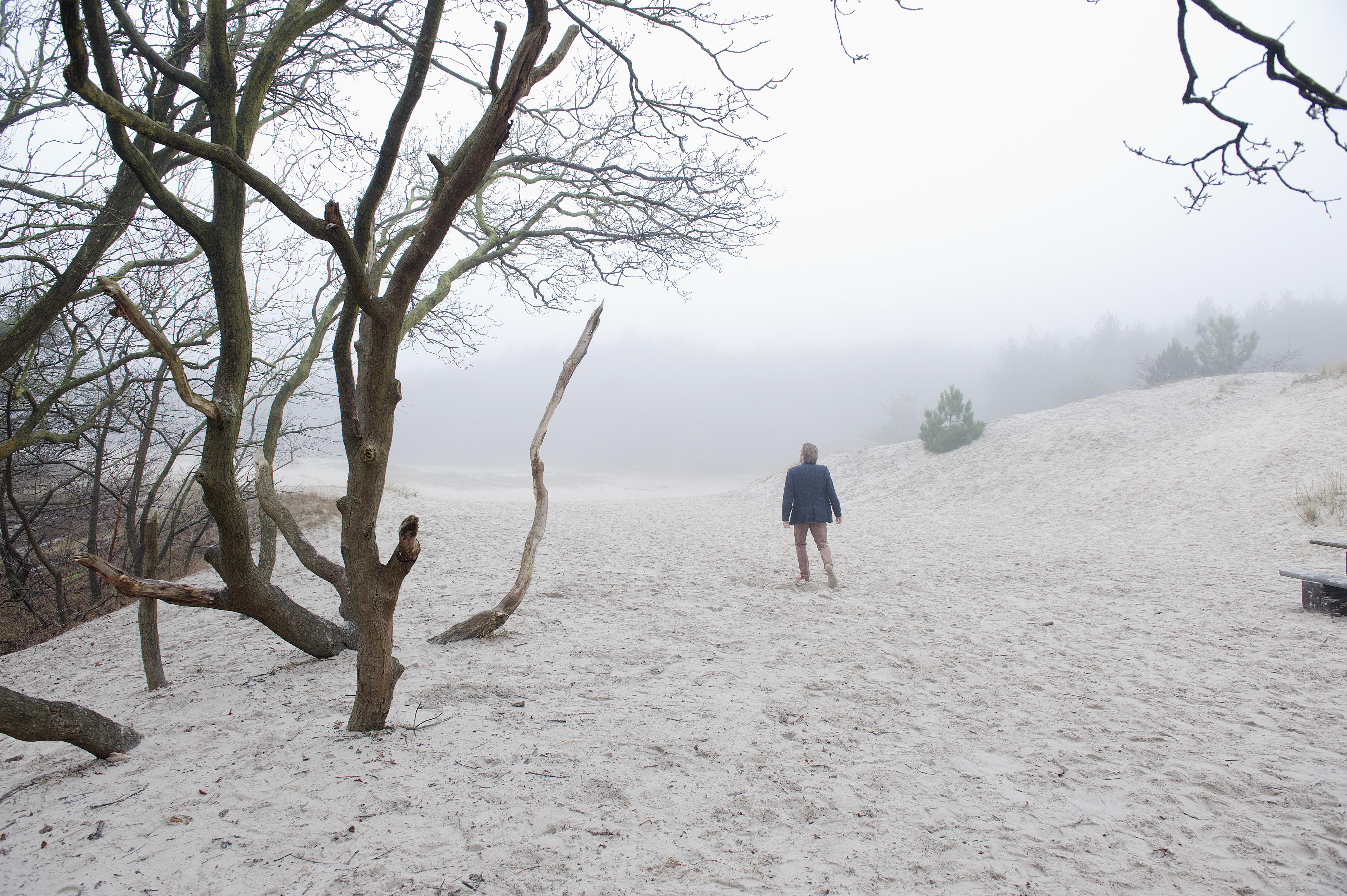 Copyright Fjodor Buis - Portret Pim te Bokkel Schoorlse Duinen