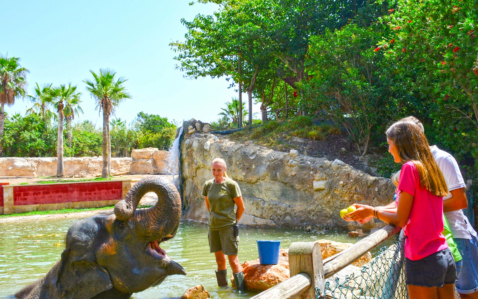 Elephant interaction at Terra Natura Benidorm with visitors feeding and a zookeeper nearby.