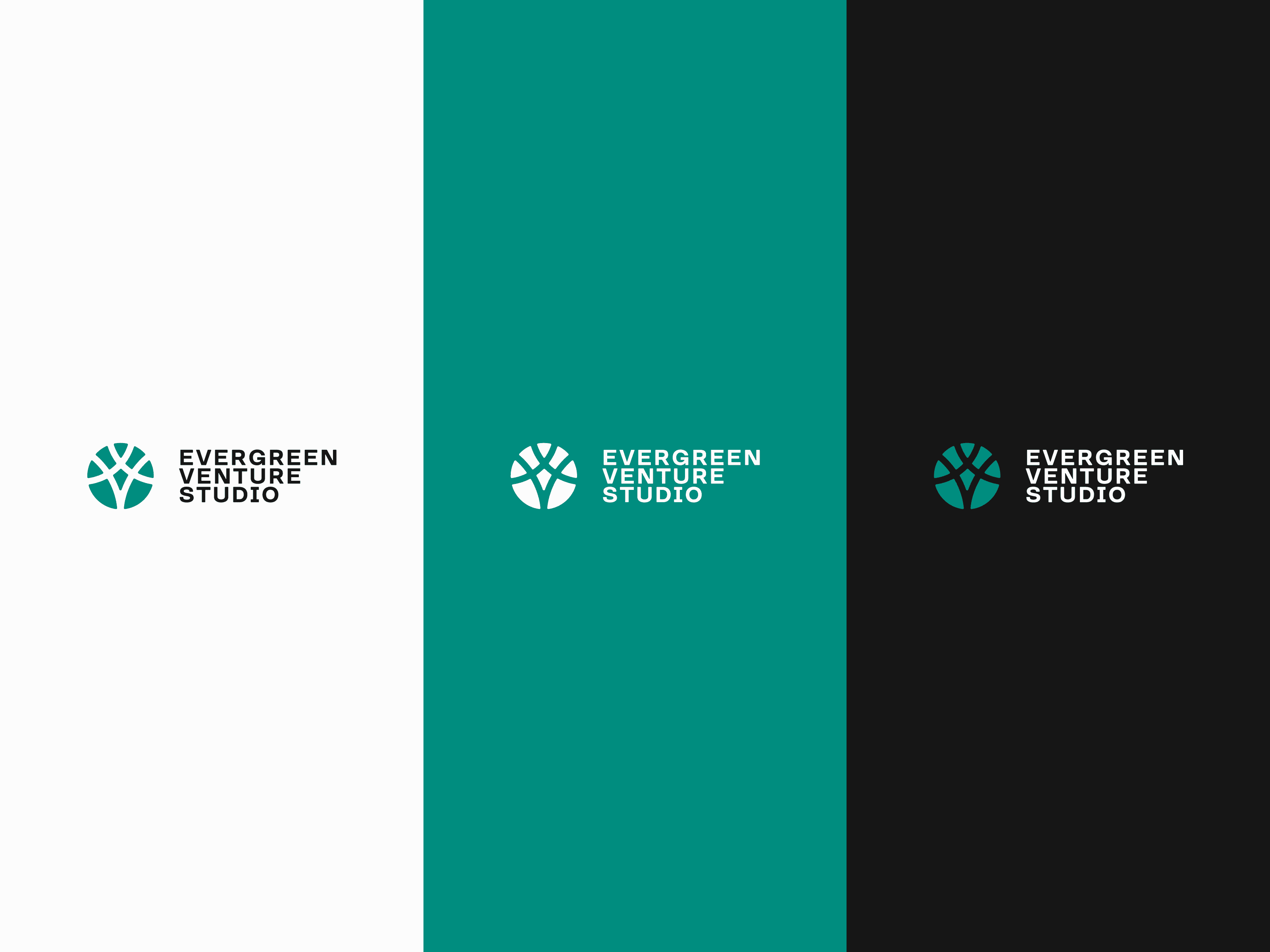 Evergreen Venture Studio logo variations displayed on white, teal, and black backgrounds, ensuring versatility across media.