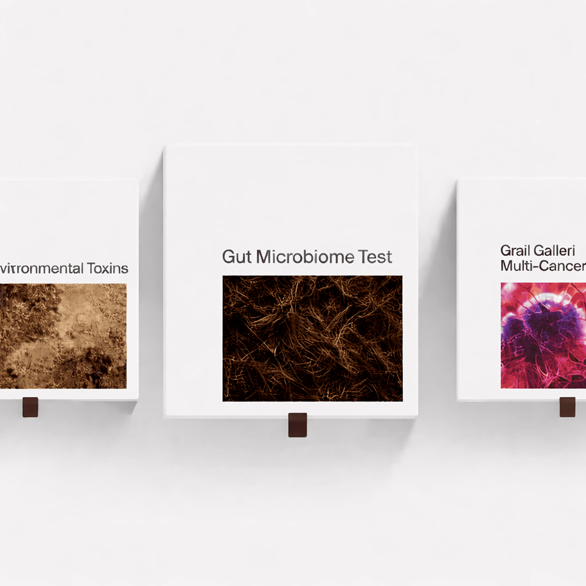 A winding road cuts through rocky terrain, surrounded by patches of green grass and illuminated by sunlight.