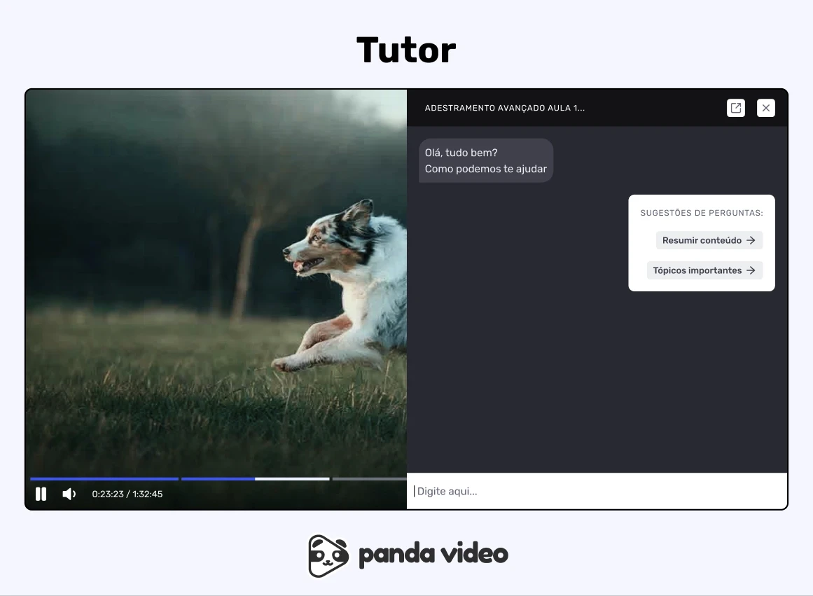 Player utilizando o Tutor da Panda Video