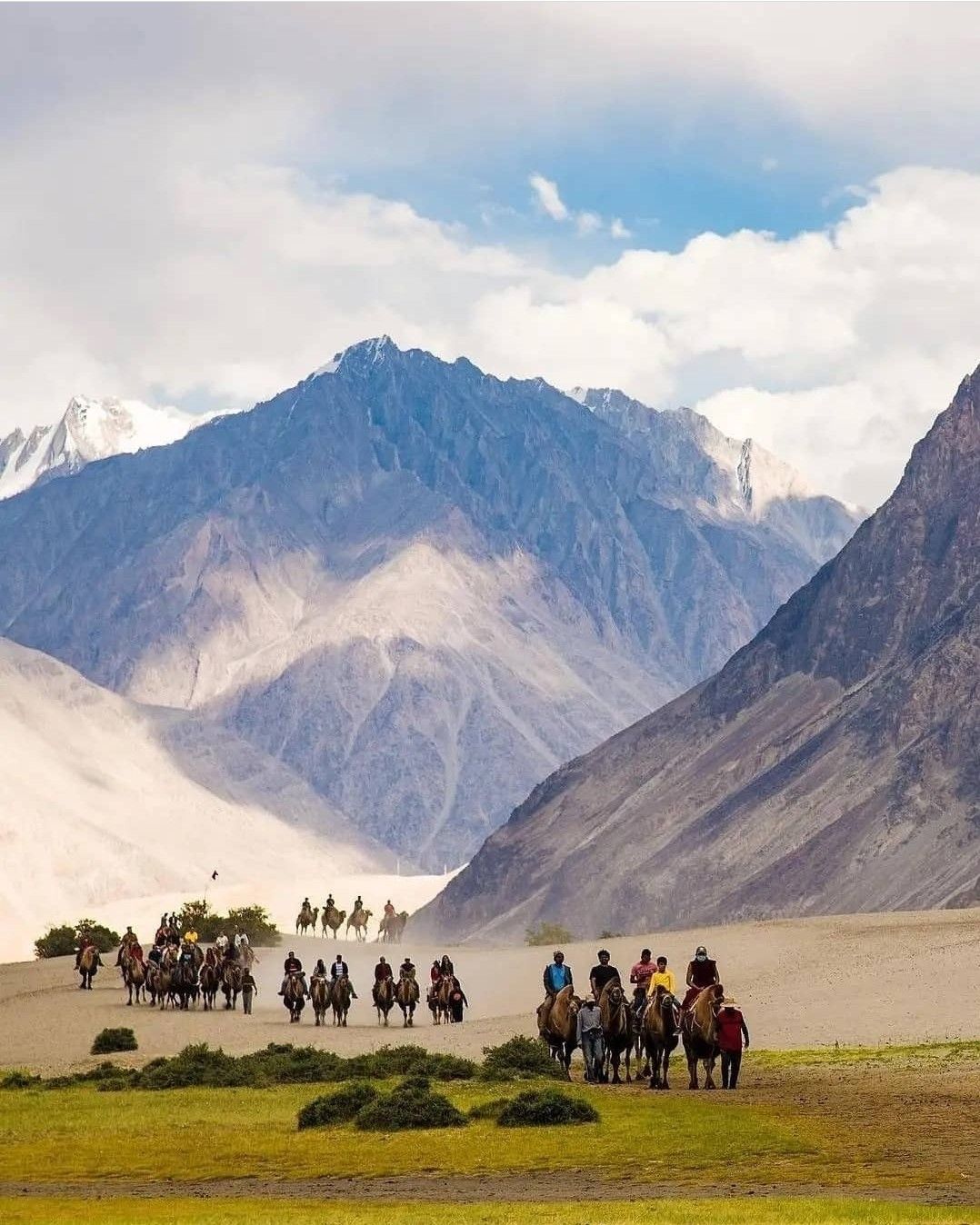 Camel ride in Nubra valley leh ladakh