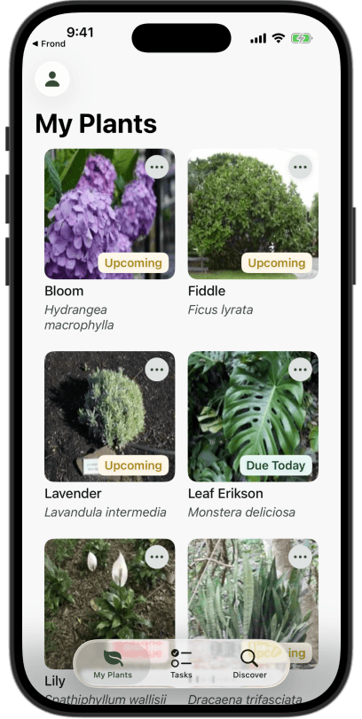A screenshot of the Frond app