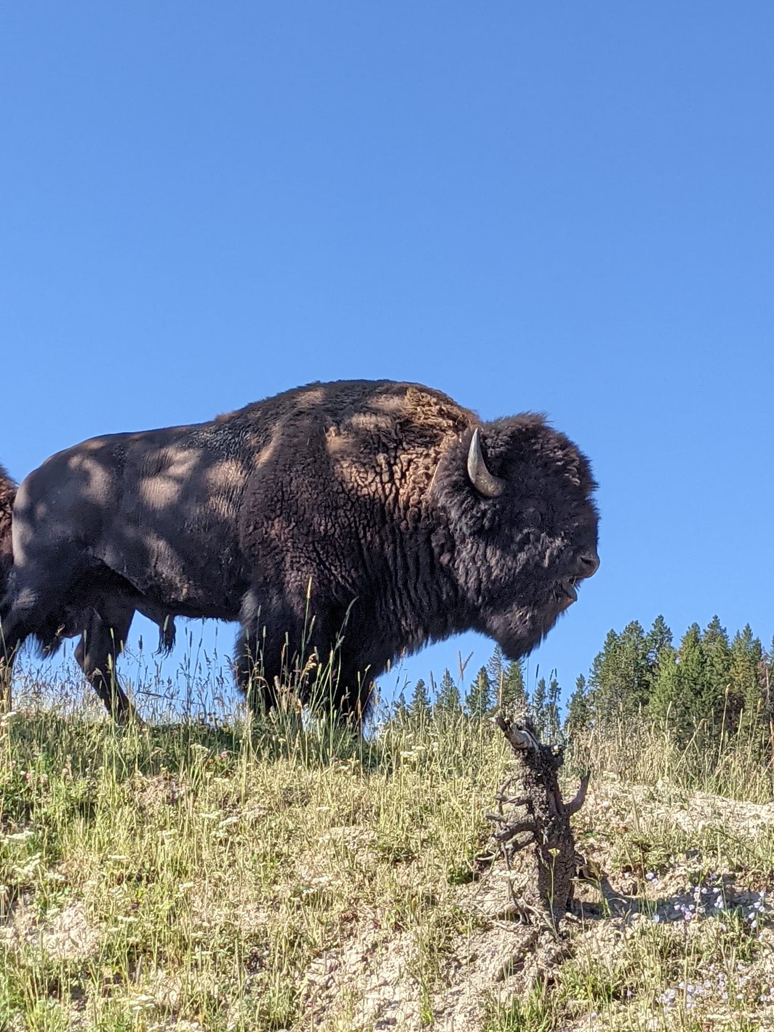 people on beach shore during daytime