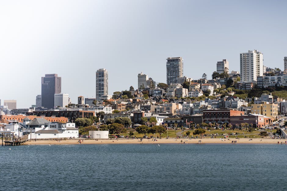 best ux agencies san francisco illustration