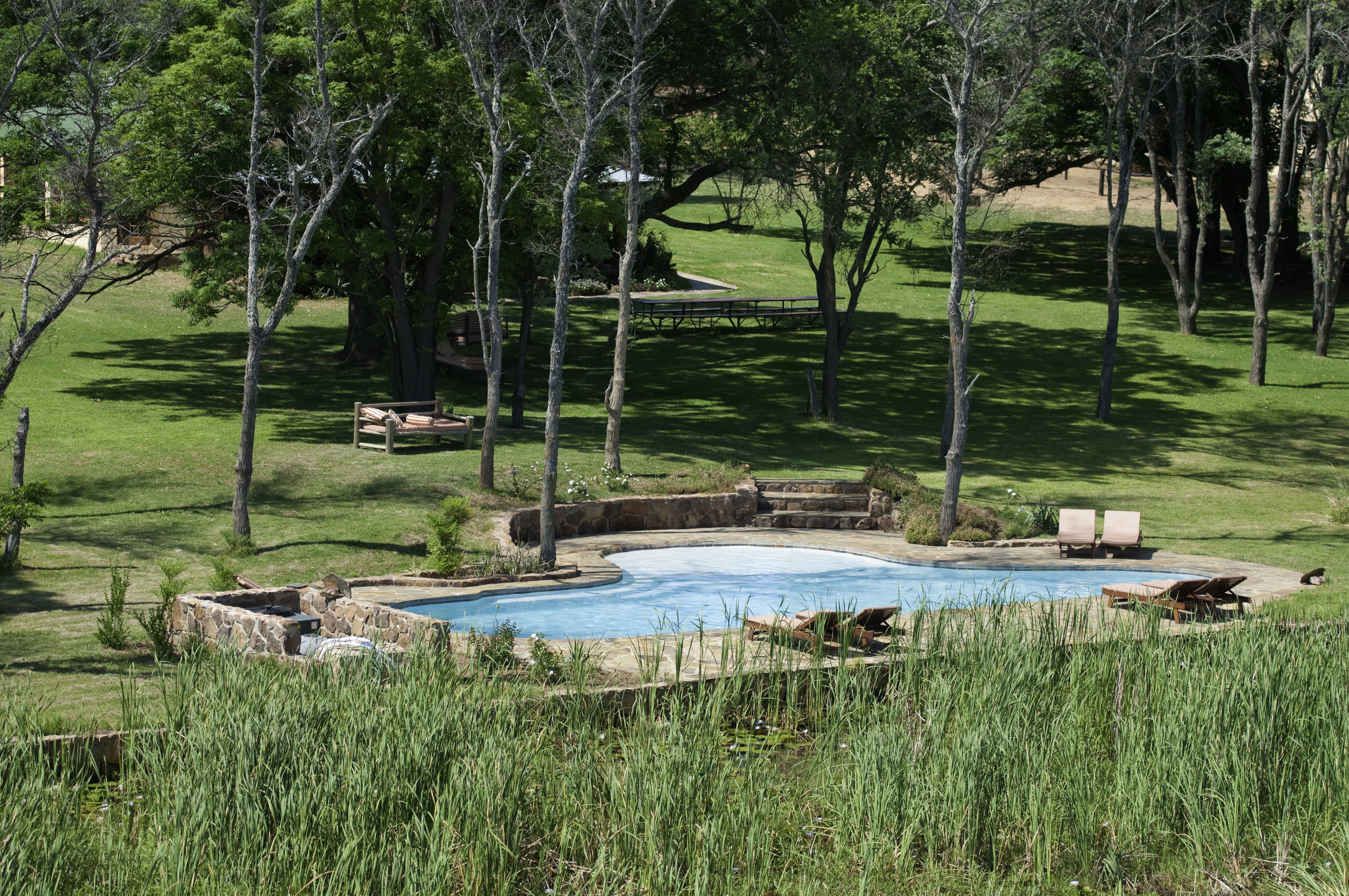Signature Safari, Waterberg, Sydafrika – stor pool i grönskande landskap som en del av safari-lodge för ridsafari i Afrika.