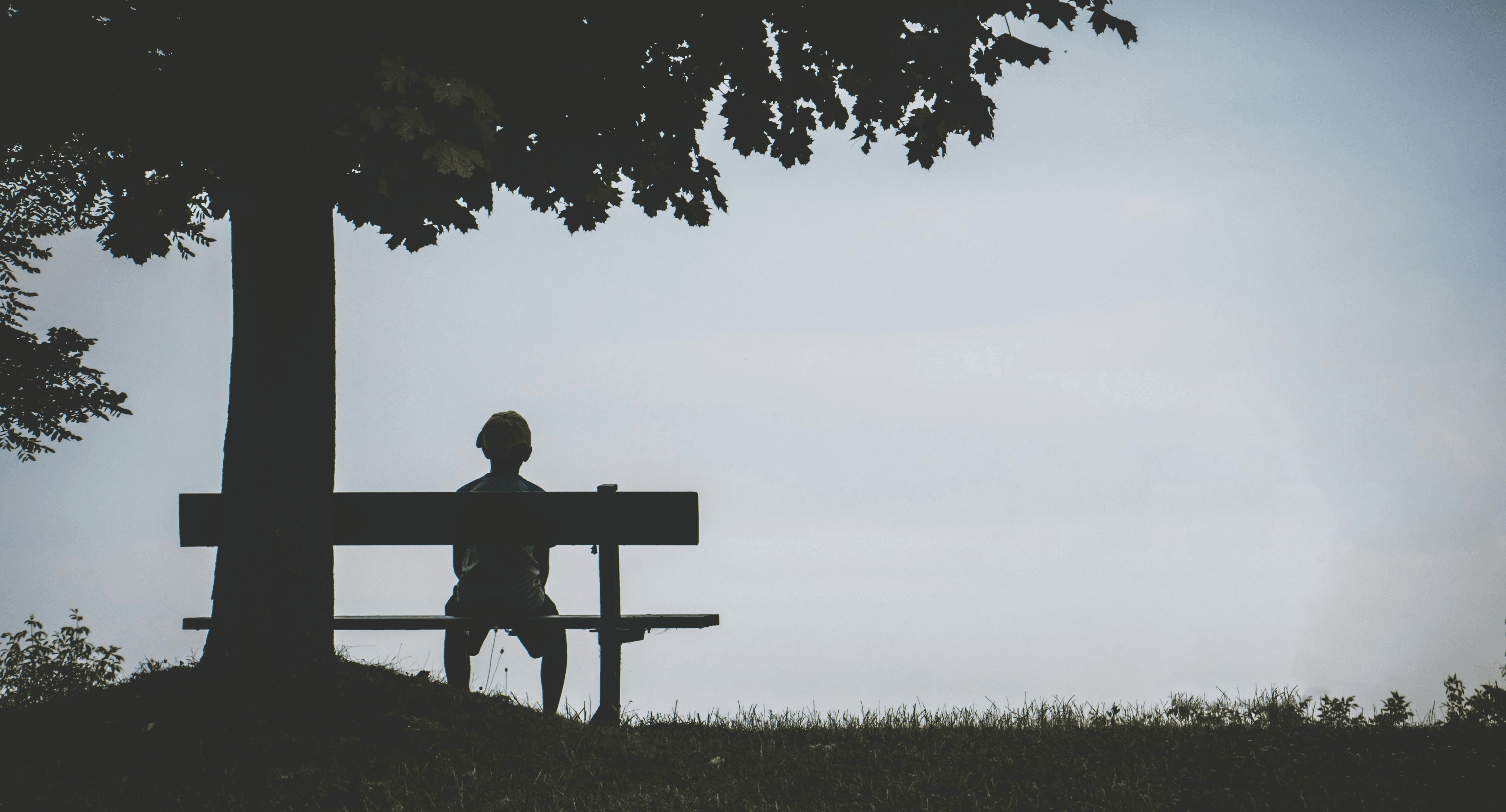 Child sitting on a seat under a tree. They are looking down from a hill, enjoying the view.