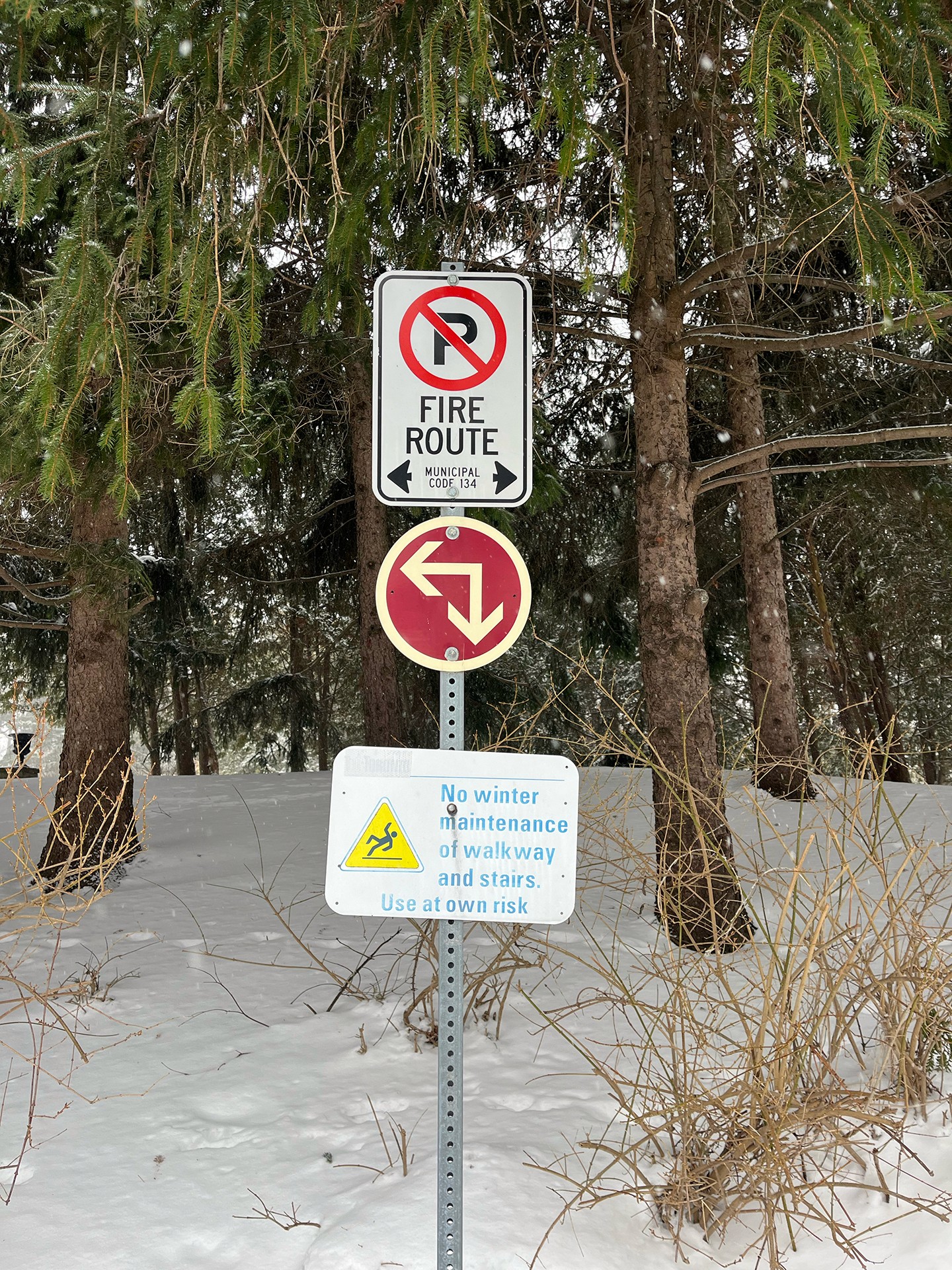 Two roadside signs in winter conditions: a ‘No Parking – Fire Route’ sign with directional arrows, and a winter advisory sign below it reading ‘In winter this area is not maintained. Use at own risk.’ Snow covers the ground around the signs.