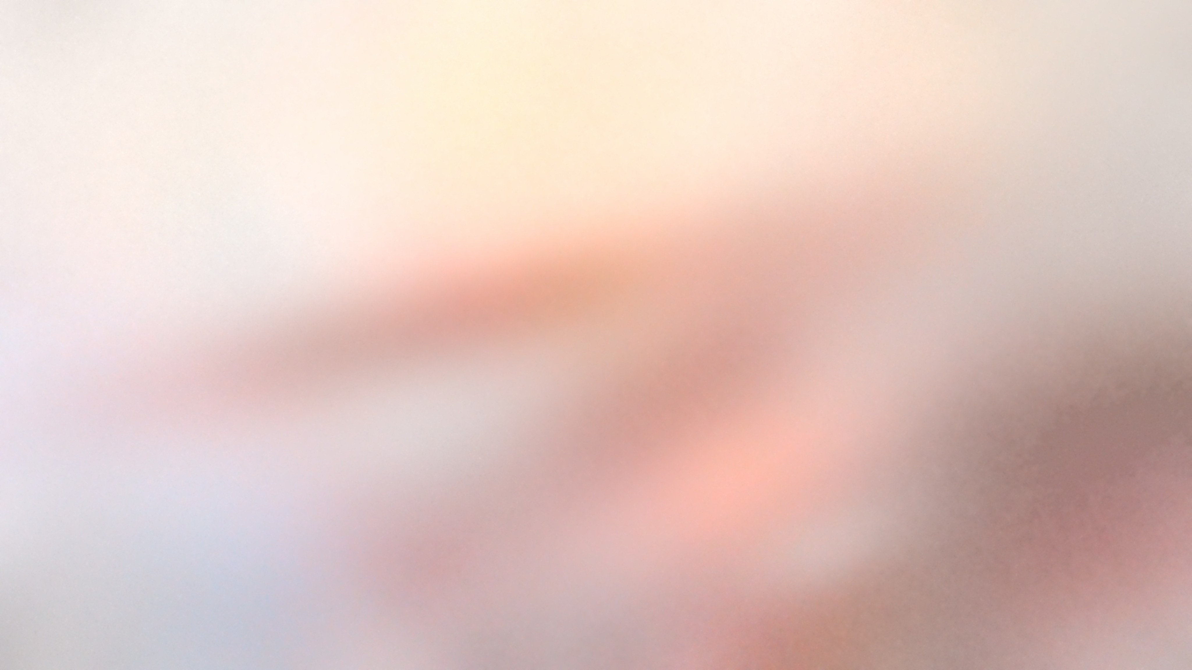 C03 · Daybook: rose breath