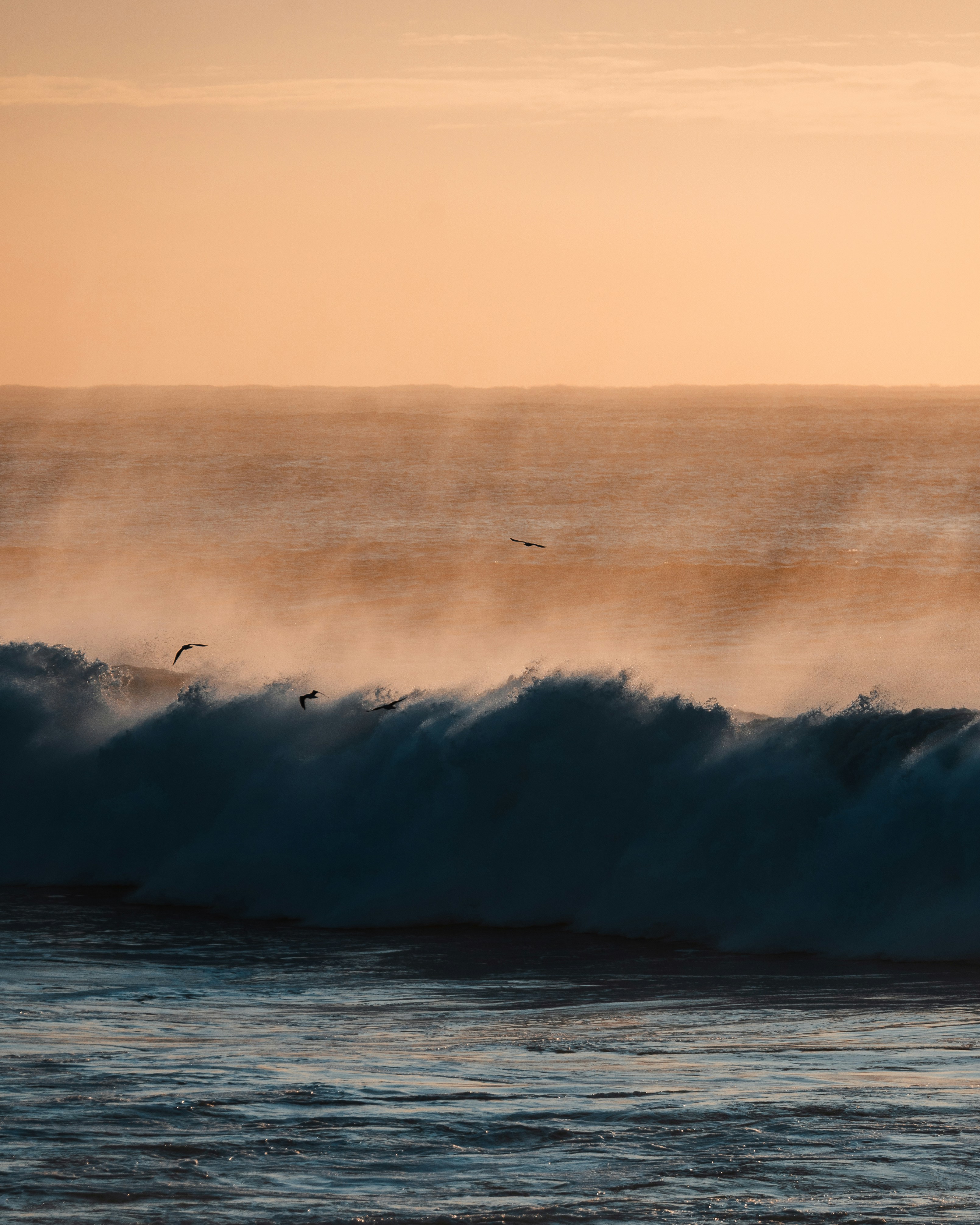 Waves crashing with birds flying in misty ocean air