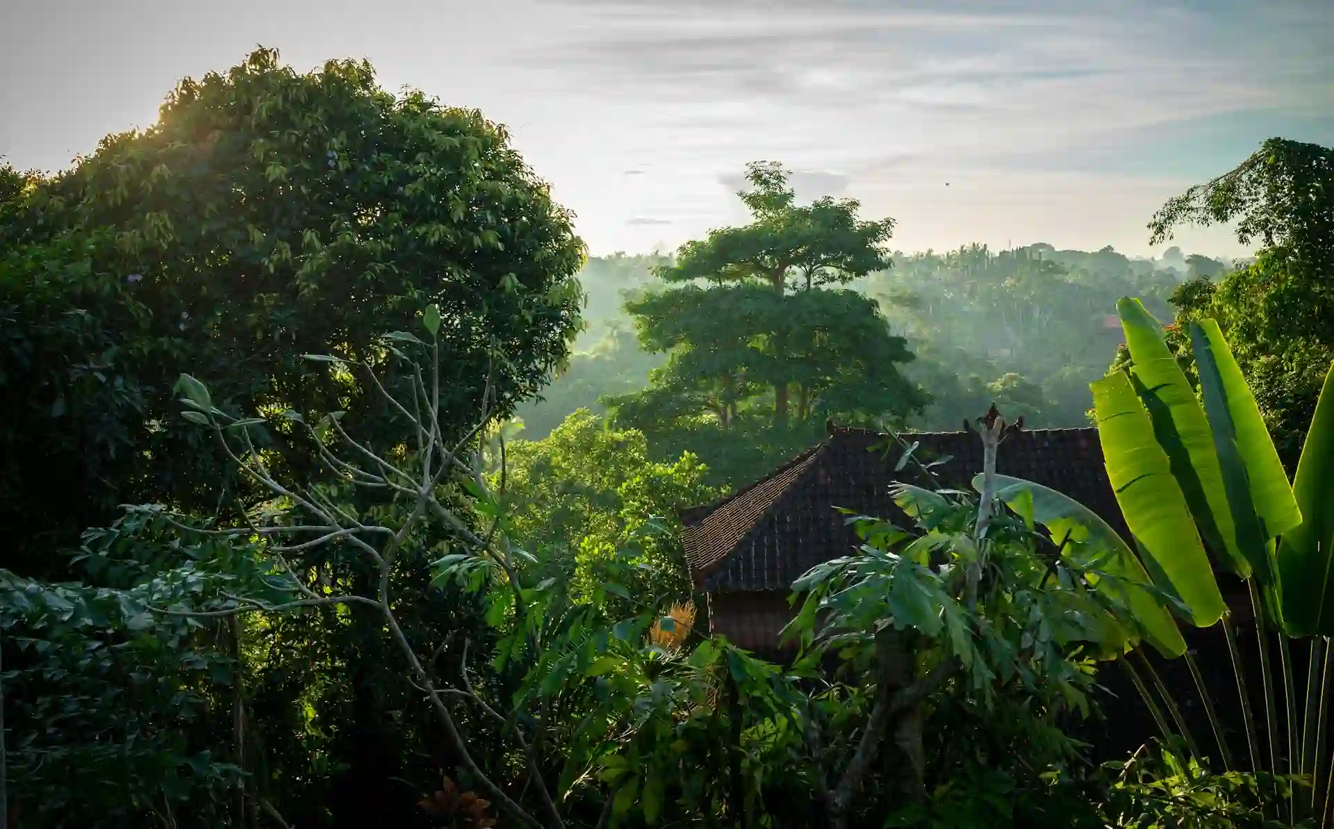 guide to living in ubud bali