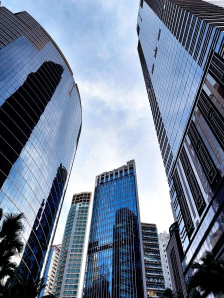 Upward view of glass office towers framed by palm fronds under a bright overcast sky, illustrating how private equity firms use knowledge graphs.