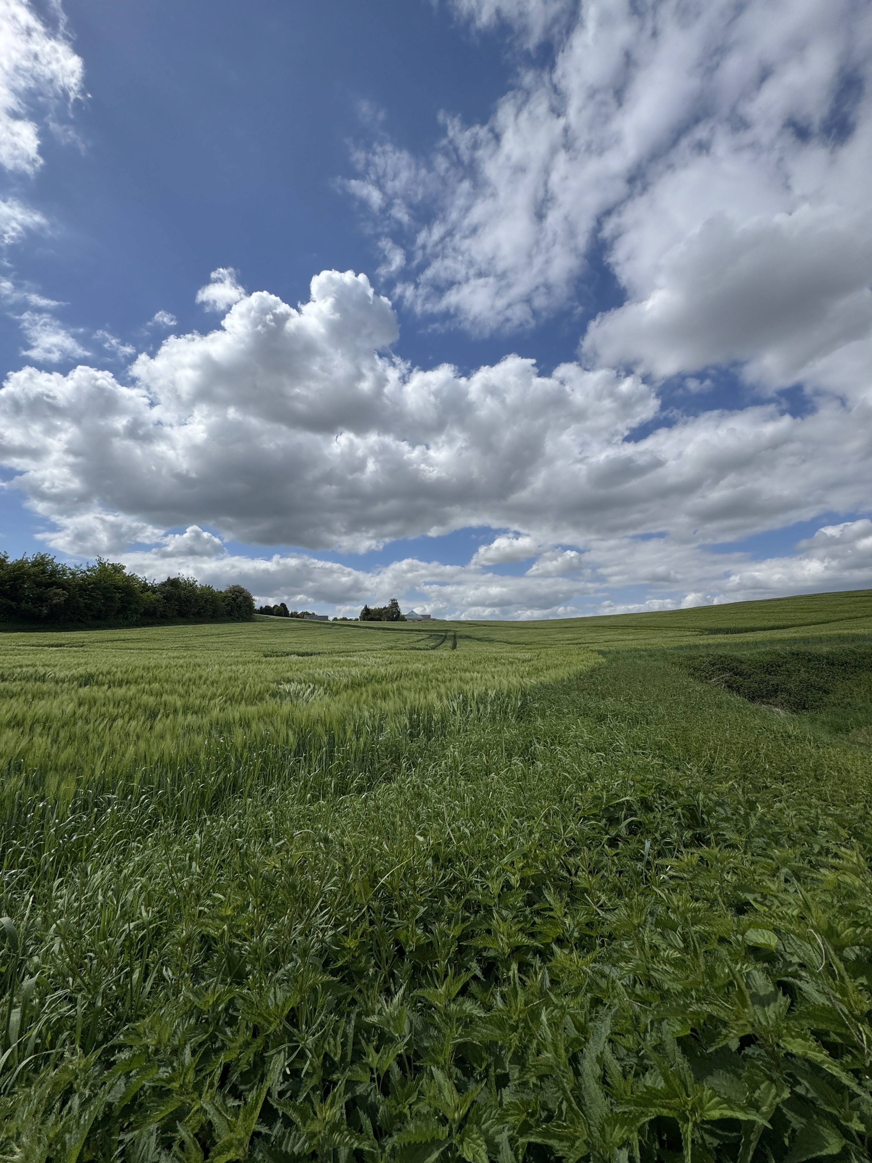 Person sitting on a ledge overlooking New York City skyline