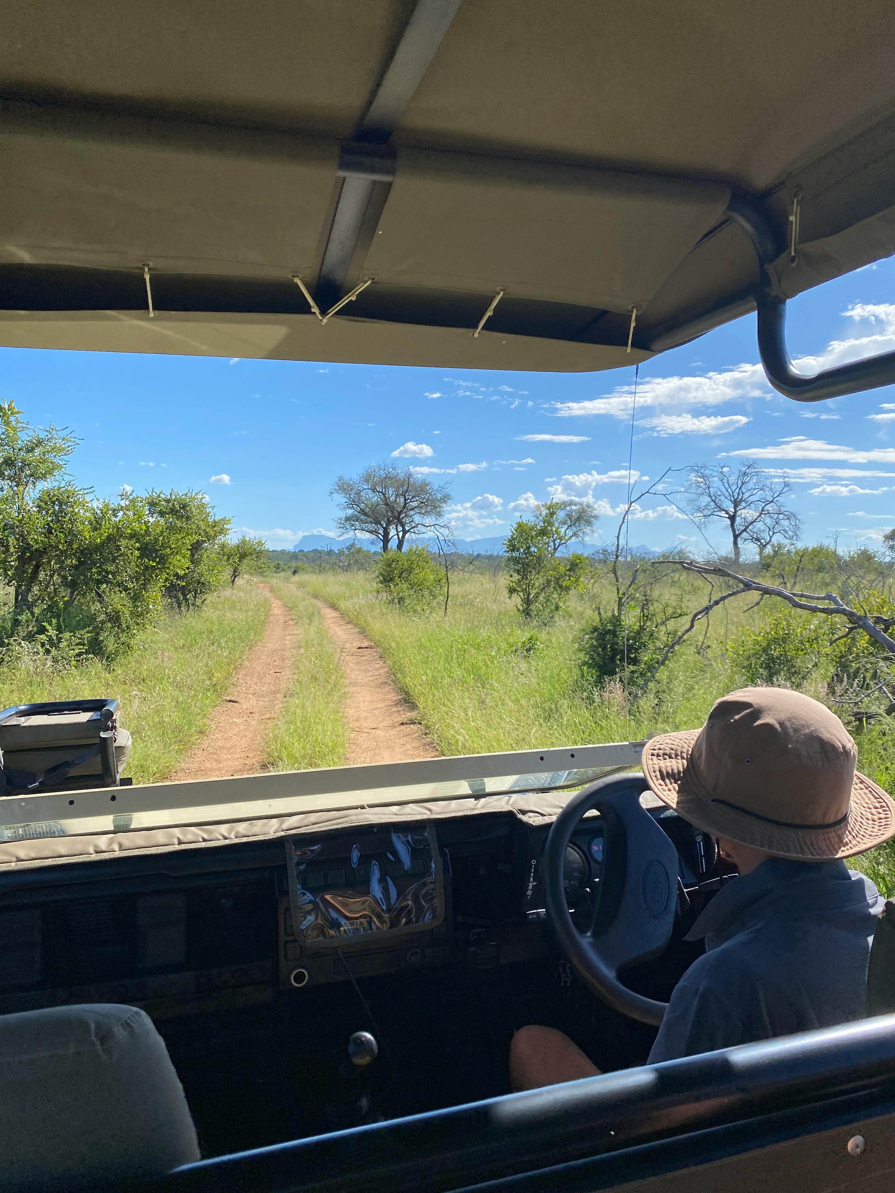 Safari