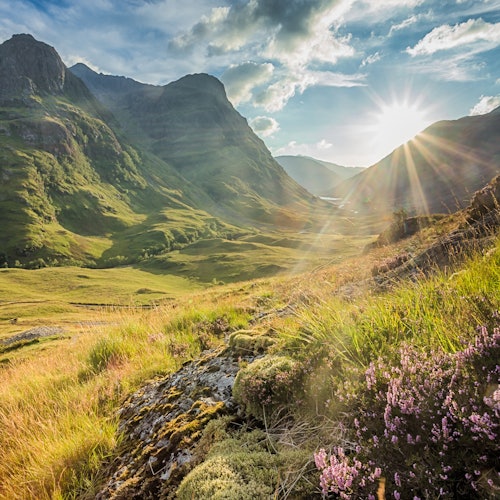 Valle bañado por el sol con colinas cubiertas de hierba, montañas rocosas al fondo y flores silvestres en primer plano bajo un cielo parcialmente nublado.