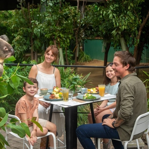 إفطار الكوالا متاح من السبت إلى الأربعاء