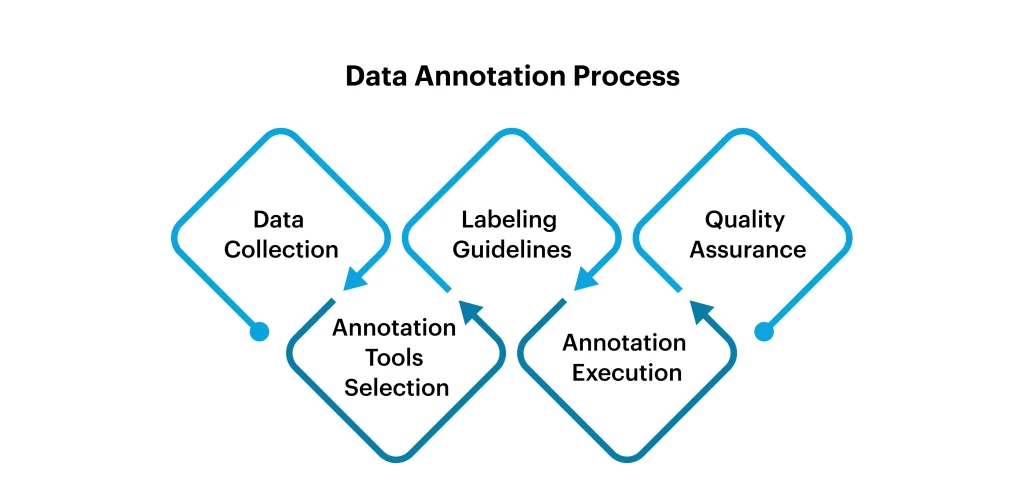 Data Annotation Process