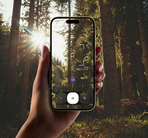 Hand holding a smartphone in a forest, showing a data-capture interface for field monitoring.