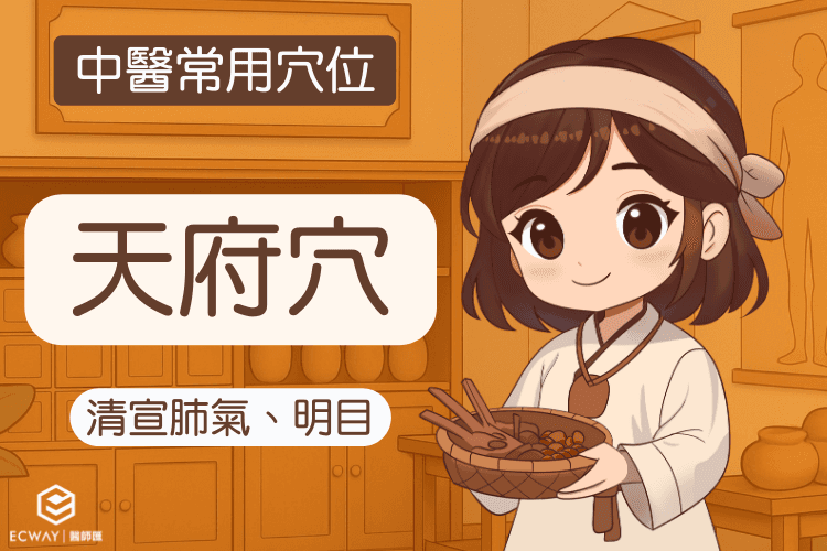 【中醫常用穴位】天府穴