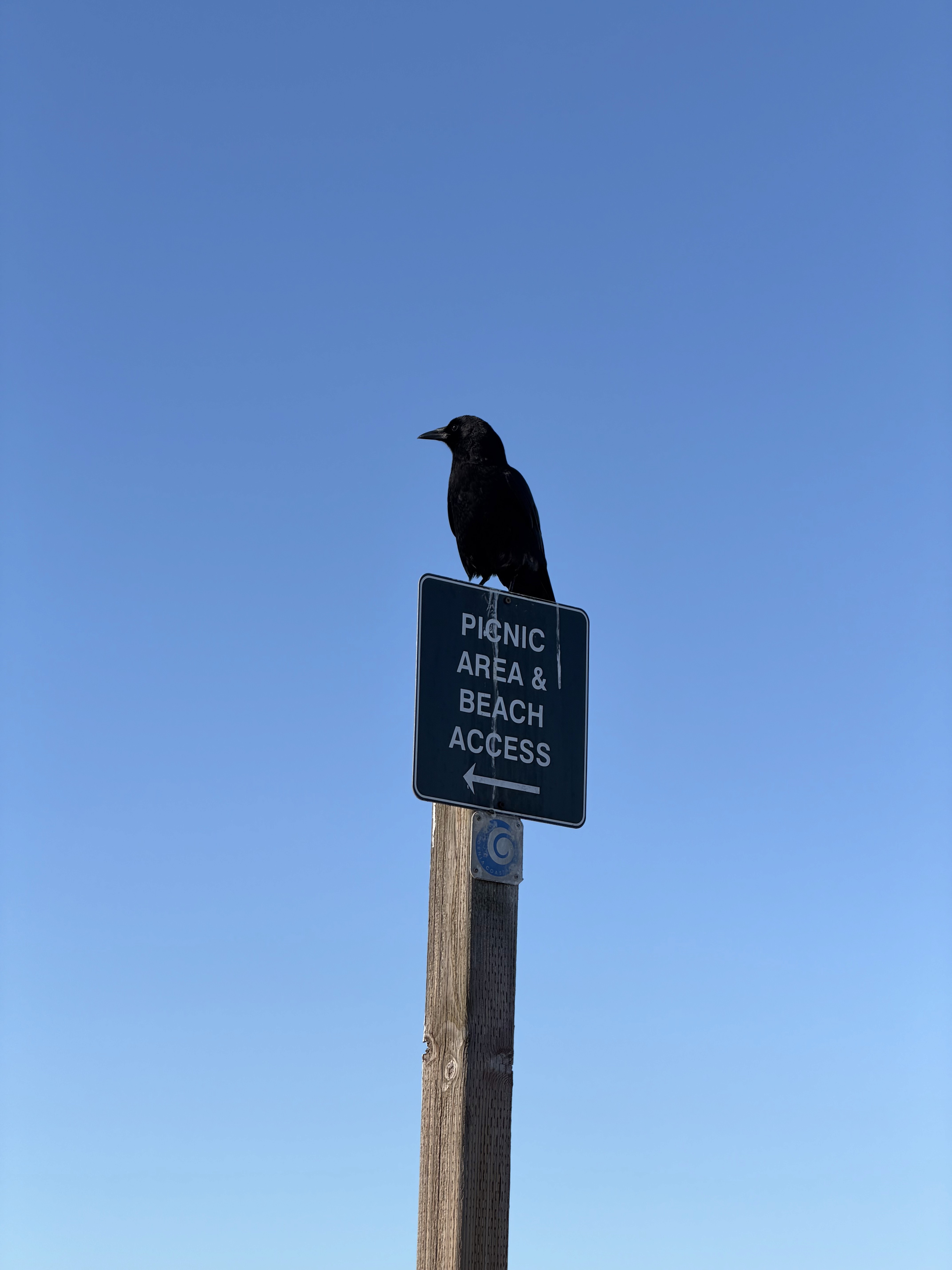 Group of friends smiling on a lively city street at night