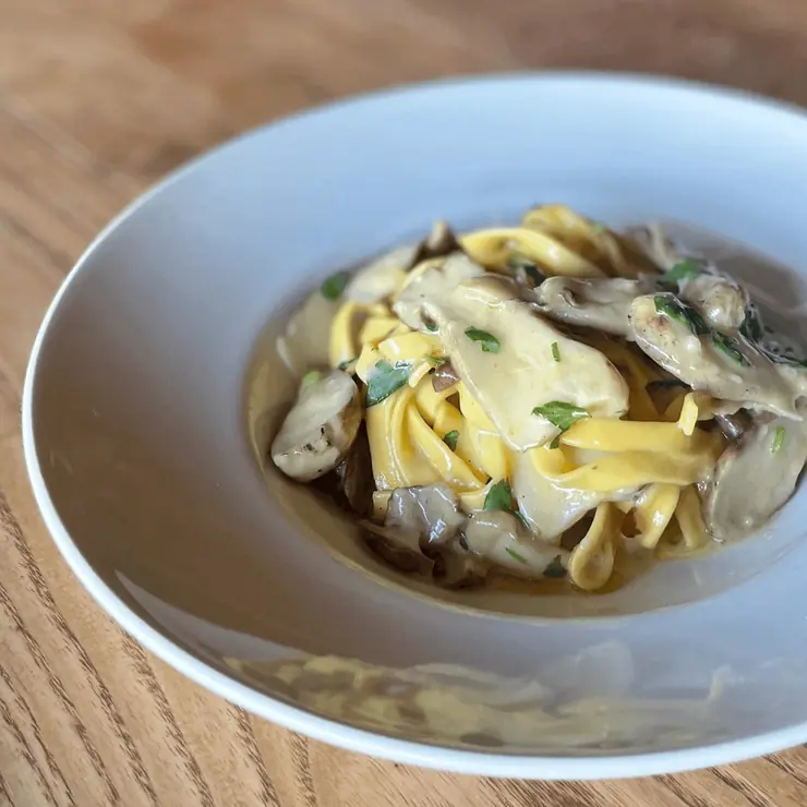 Plate of creamy tagliolini pasta topped with abalone mushrooms and grated parmigiano.