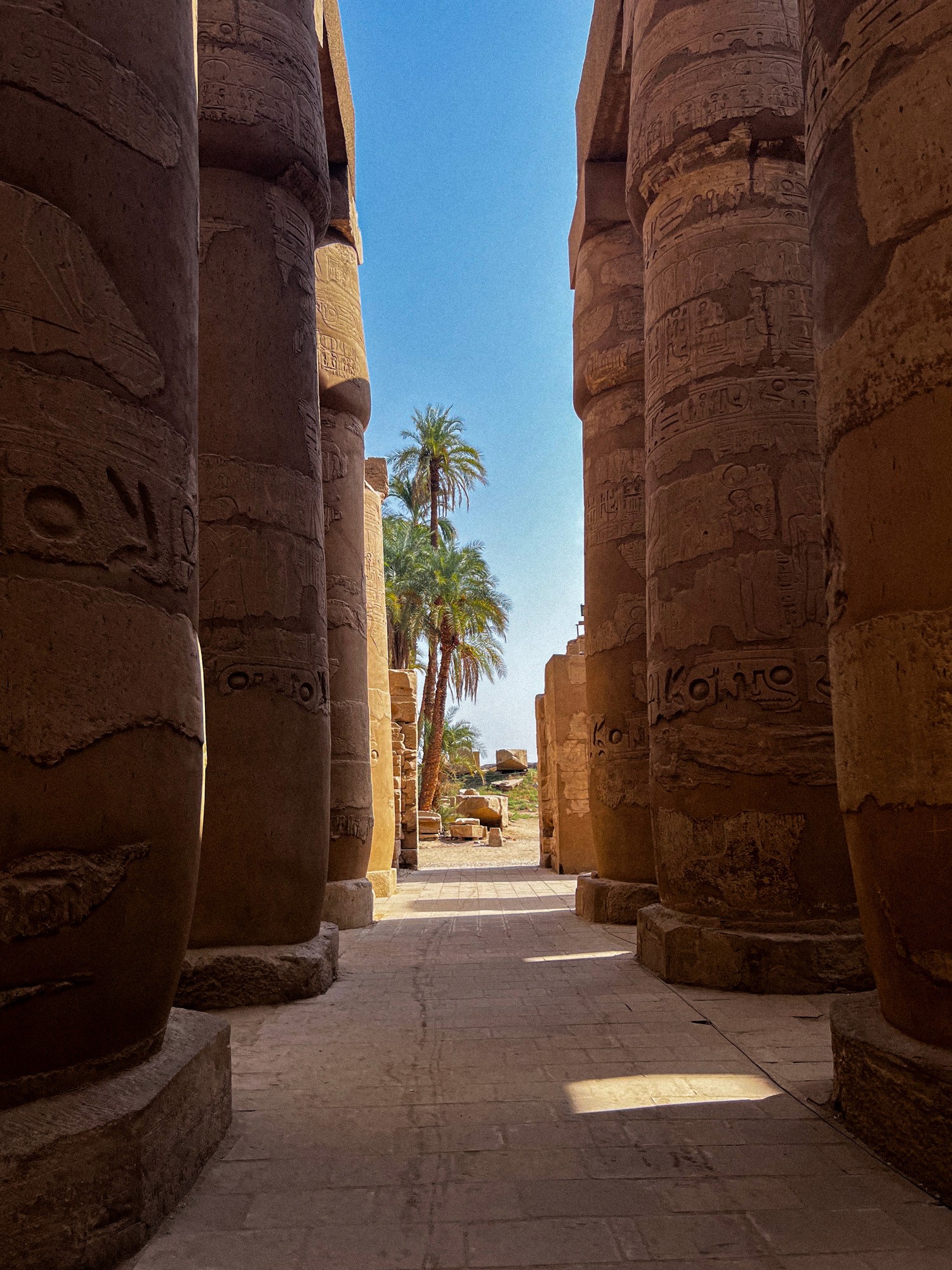 Sunlight streaming through lush green trees, casting shadows on a modern architectural building with glass panels and vertical wooden slats.