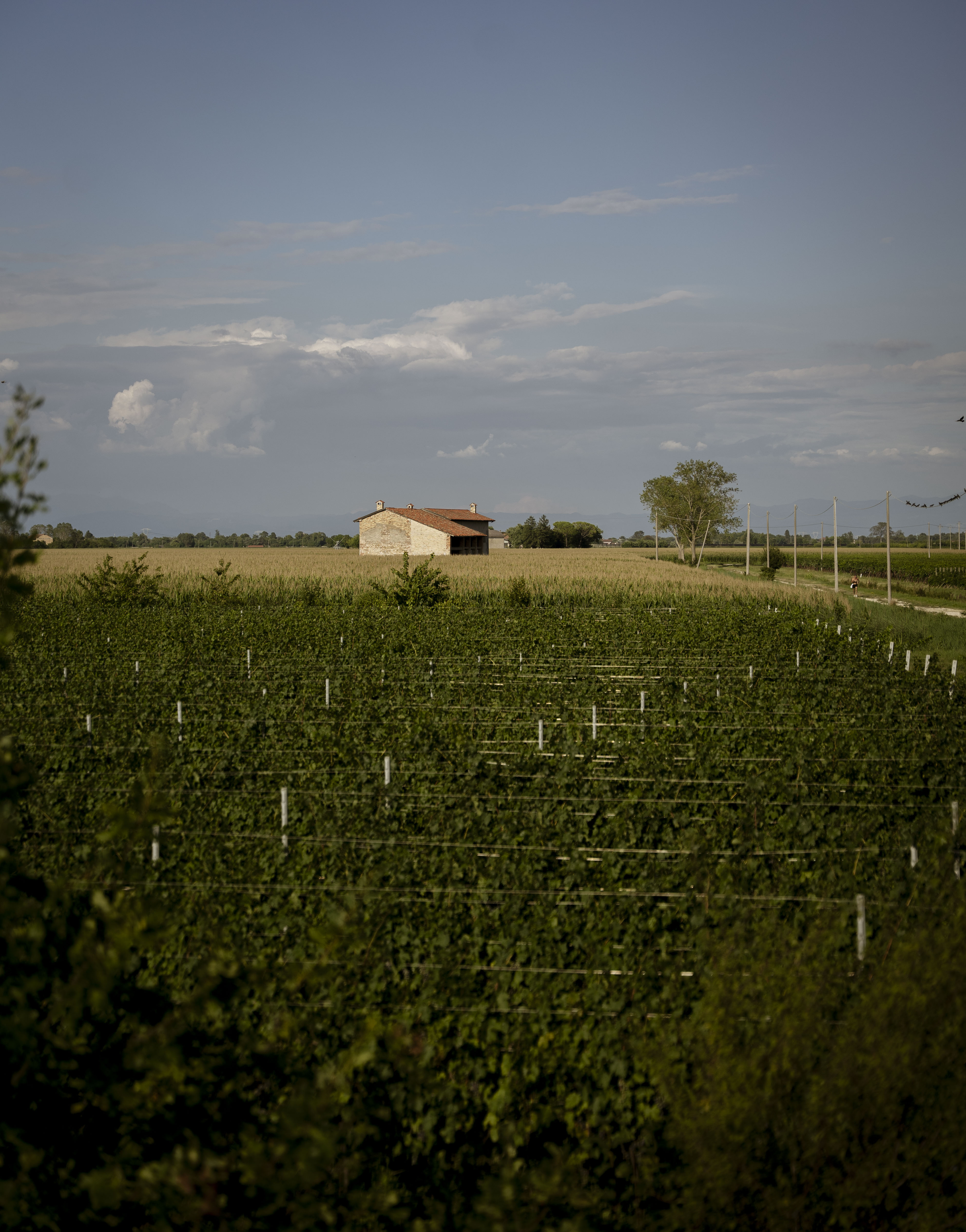 tenuta 1