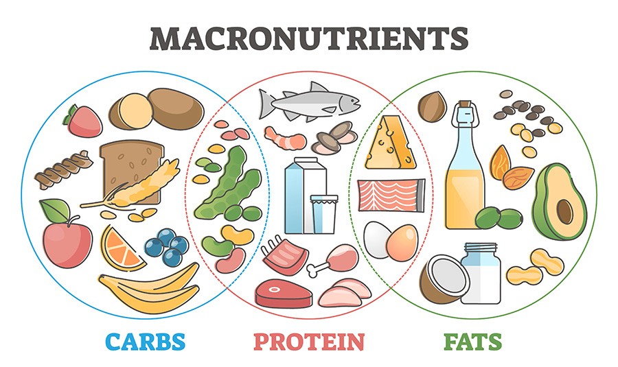 Macronutrient Models Pros Cons