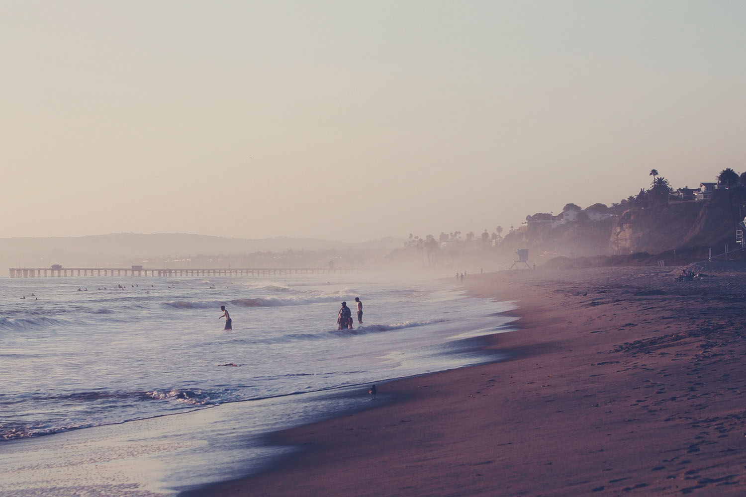 Photo by Christopher Sardegna on Unsplash