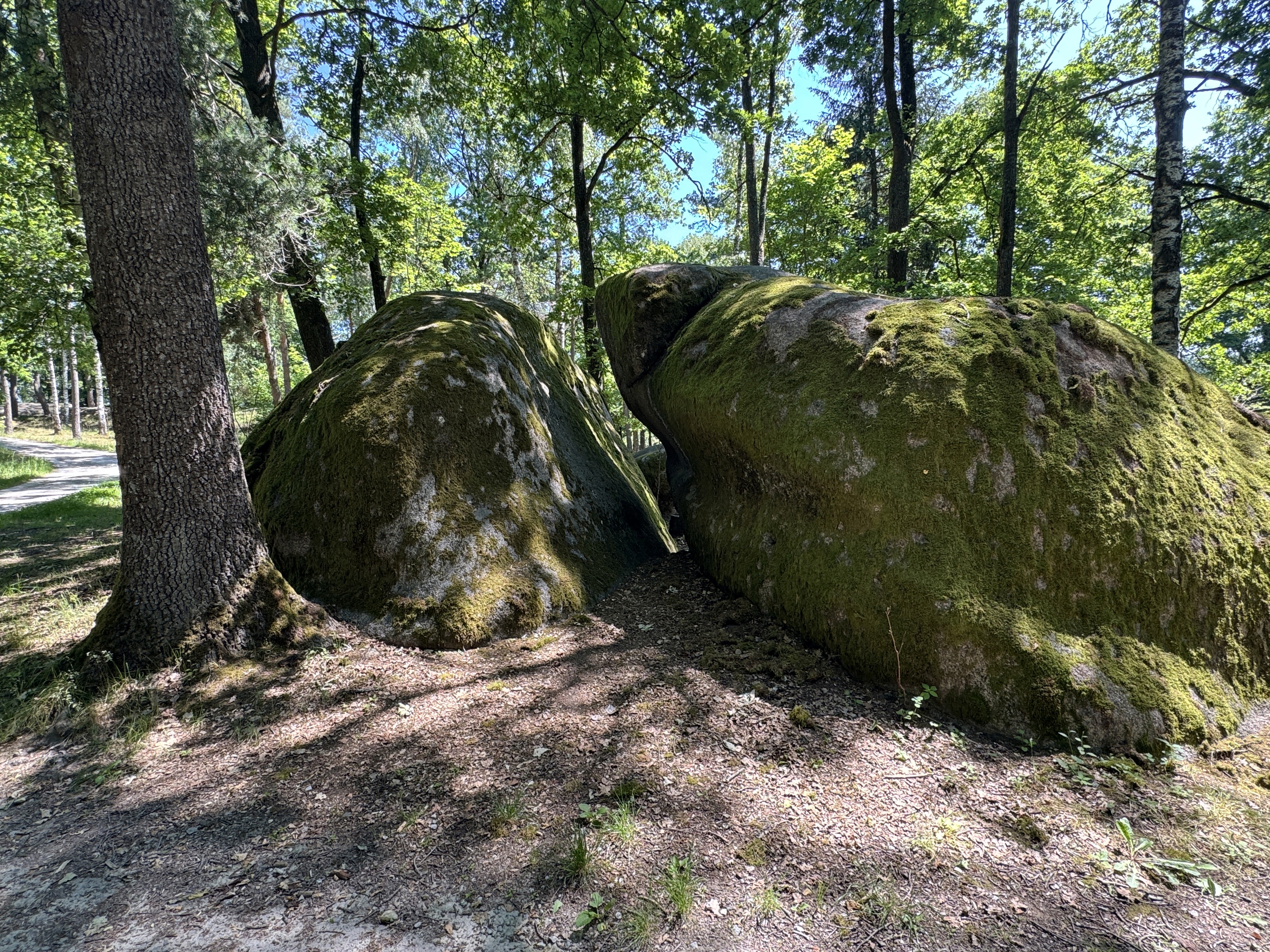 Large boulders surrounded by greenery and trees in a natural outdoor setting.