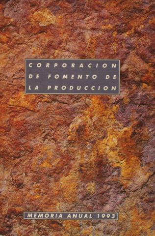 CORFO, Memoria anual 1993, 1994