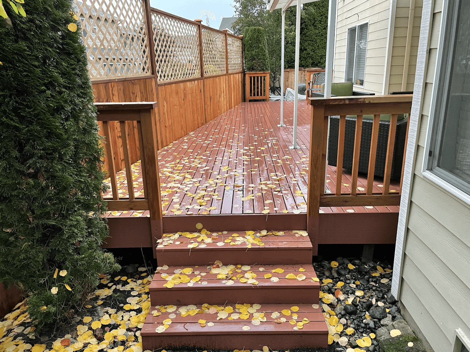 Gallery: See Our Renovation Projects in Action