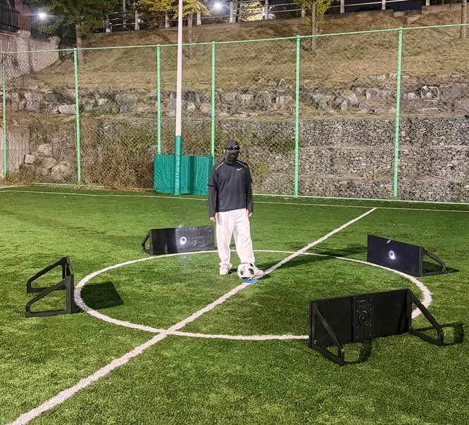 a close up of a plastic model of a human brain